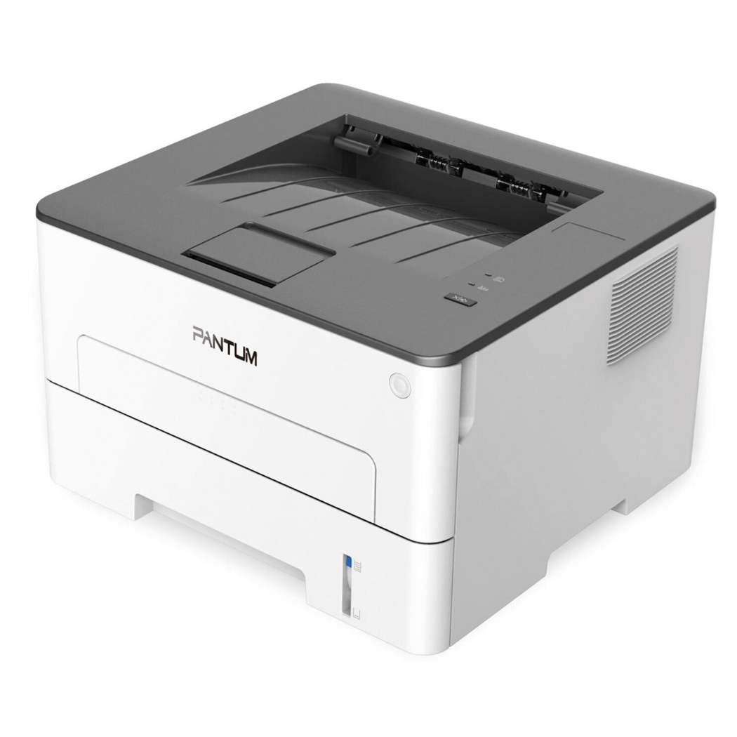 Pantum P3010DW