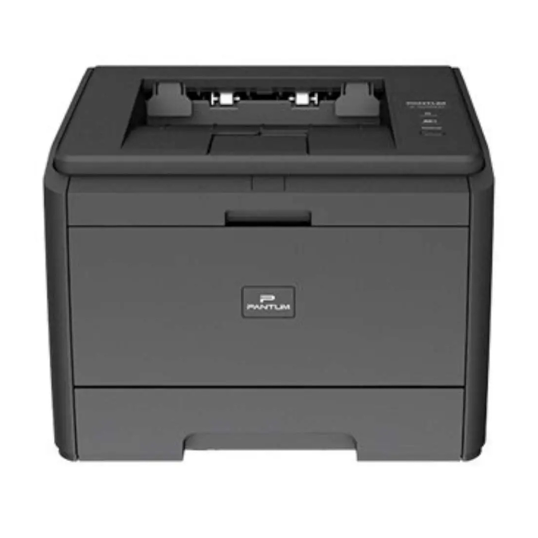 Pantum P3205DN