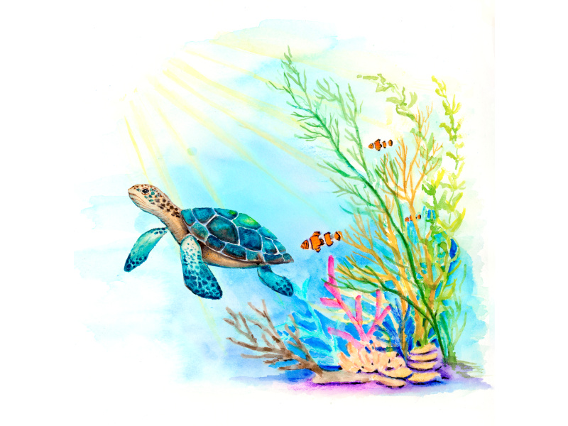 Akvarellpliiatsid Faber-Castell GoldFaber Aqua karbis 24 tk - Image 3