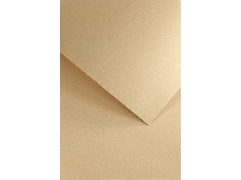 Dekoratiivpaber Nature A4/20L 220gr tumebeez - Pilt 2