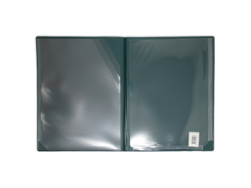Kaaned Prolexplast sisetaskutega A4 assortii - Pilt 3