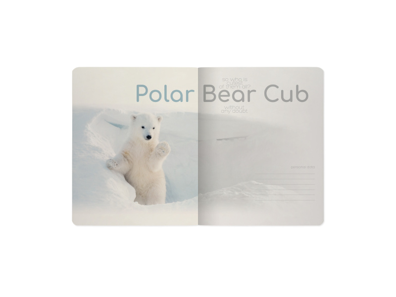 Kaustik Bruno Visconti A5/48L Polar Bear Cub 2 5x5ruut - Pilt 2