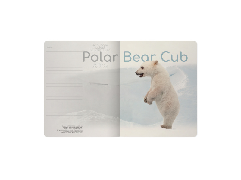 Kaustik Bruno Visconti A5/48L Polar Bear Cub 2 5x5ruut - Pilt 4
