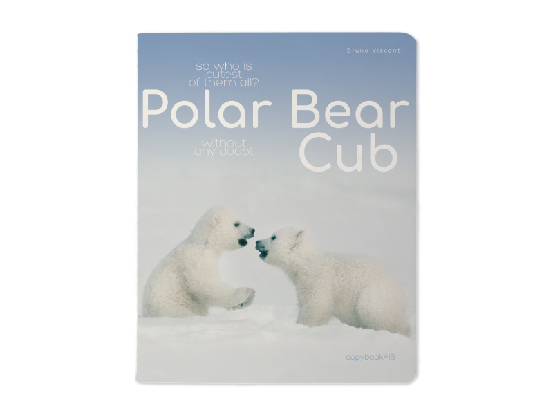 Kaustik Bruno Visconti A5/48L Polar Bear Cub 2 5x5ruut