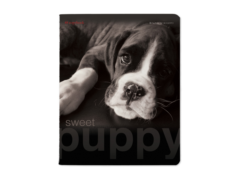 Kaustik Bruno Visconti A5/48L Sweet Puppy 2 5x5ruut