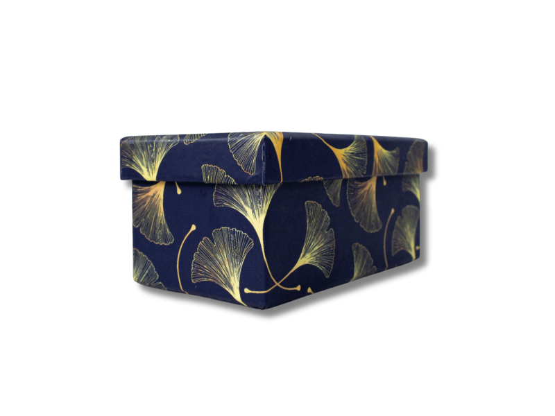 Kinkekarp College 10.5x6x4.8cm Blue