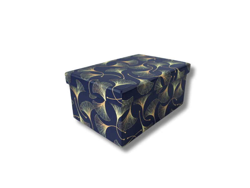 Kinkekarp College 13.5x9x6.2cm Blue