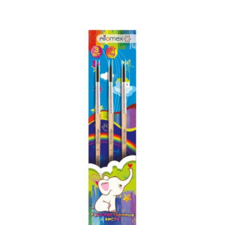 Pintslite komplekt Attomex 3tk/pk (orav nr 1,3,6)