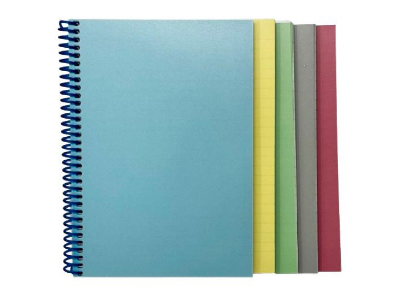 Spiraalplokk College A4/80l, 5x5 ruut, PP-kaanega, plastspiraal ja perfo pikemal küljel, pastell, ASSORTII - Pilt 3