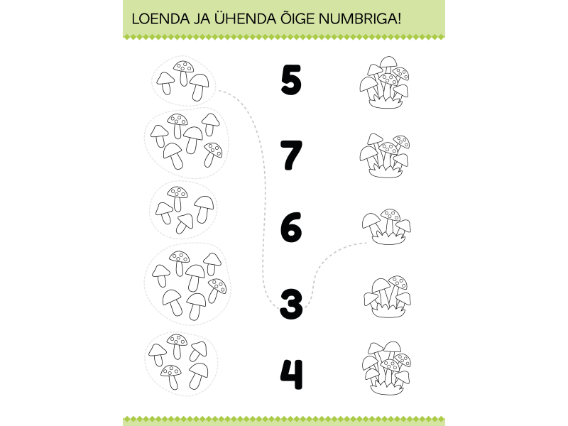 Töövihik Loendamine: Värvi ja loenda College 155x205/12L — изображение 3