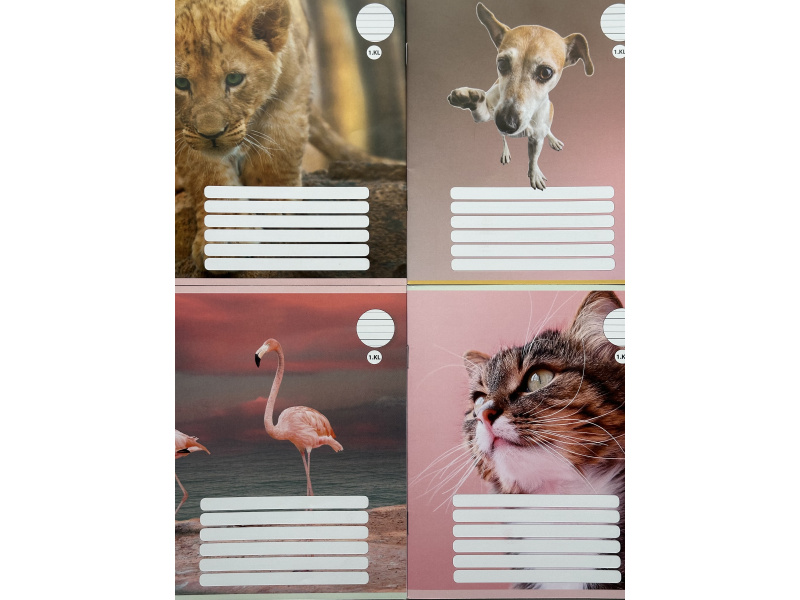 Vihik Leedu Premium 165x205/12l pildiga, 6 mm joon/abijoon, 1 klass