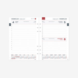 Kalender Timer Time-Master MAXI sisu Päev