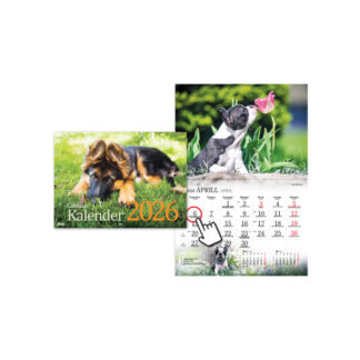 Pildikalender Timer Koerakalender