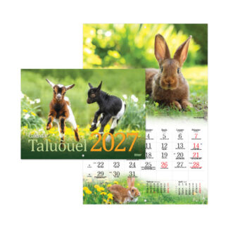 Pildikalender Timer Taluõuel