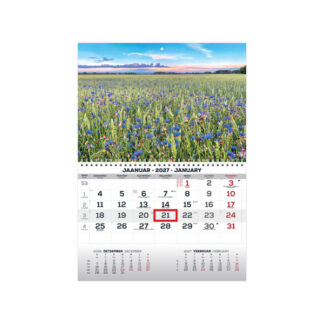 Seinakalender Timer MONO eesti-inglise nr.22