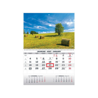 Seinakalender Timer MONO eesti-inglise nr.6