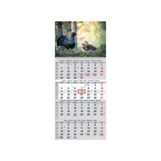 Seinakalender Timer QUATTRO nr.10