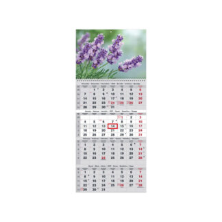 Seinakalender Timer QUATTRO nr.16