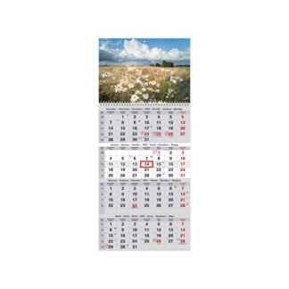 Seinakalender Timer QUATTRO nr.3