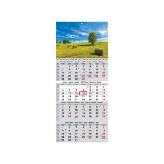Seinakalender Timer QUATTRO nr.6