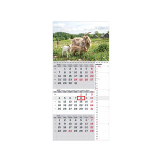 Seinakalender Timer TRIO INTERNATIONAL nr.19